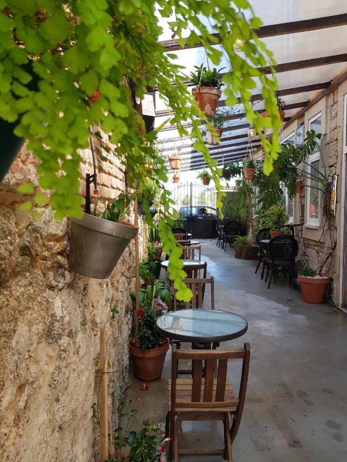 Garden Place Alojamento Local فيزيو المظهر الخارجي الصورة